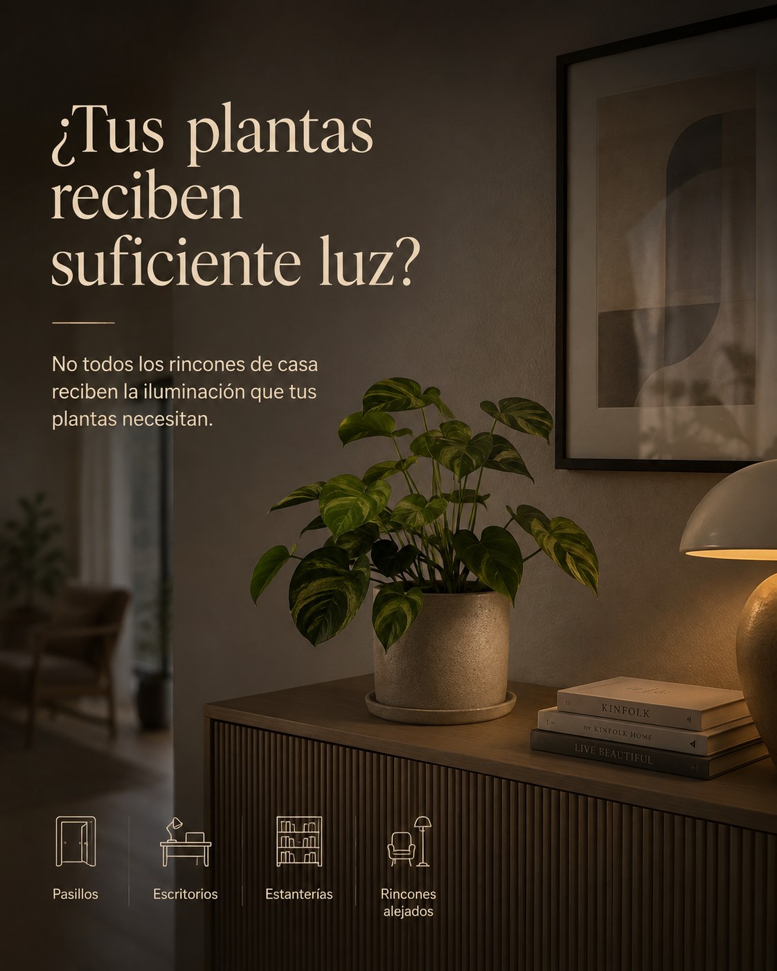 ¿Tus plantas reciben suficiente luz? Rincones de casa con poca luz natural